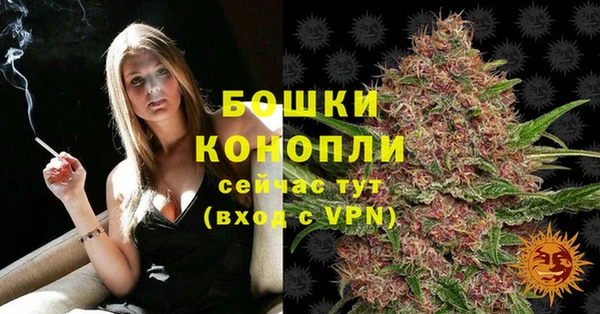 крисы Кодинск