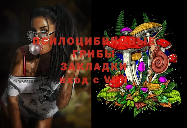 прущий лед Козельск