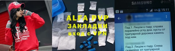 крисы Кодинск