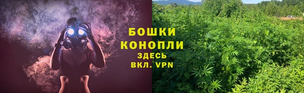 гидра Чекалин