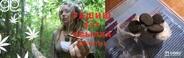 крисы Кодинск
