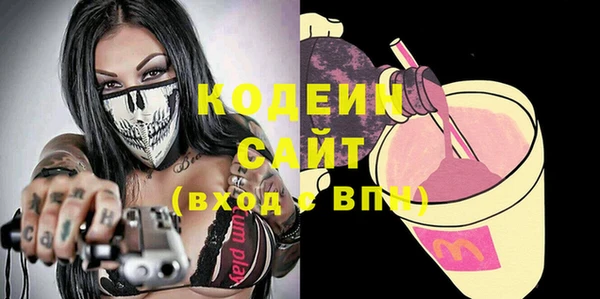 крисы Кодинск