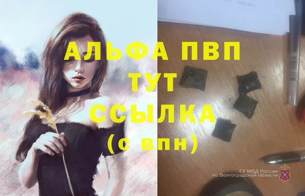 прущий лед Козельск