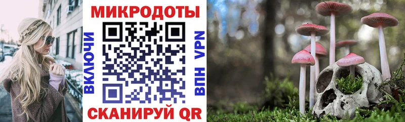 Псилоцибиновые грибы GOLDEN TEACHER  где можно купить   Арзамас 