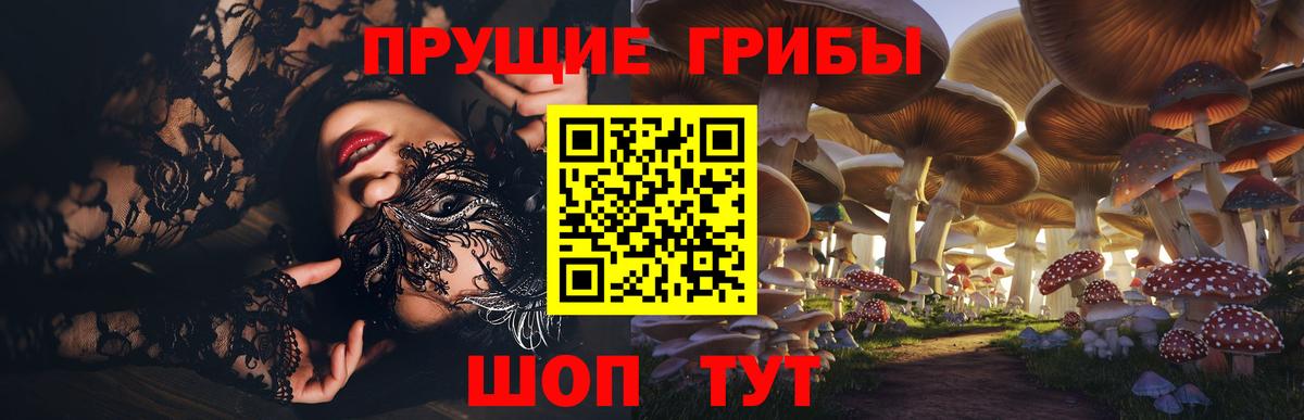 Псилоцибиновые грибы прущие грибы  Вход с VPN  Арзамас 
